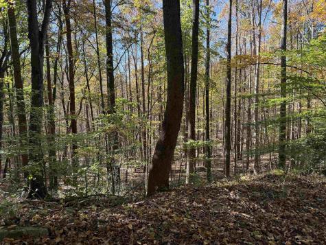 0 Clemtown Road Philippi WV 26416