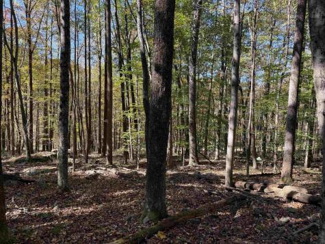 0 Clemtown Road Philippi WV 26416