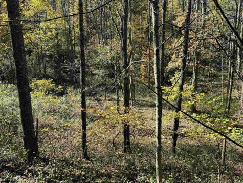 0 Clemtown Road Philippi WV 26416