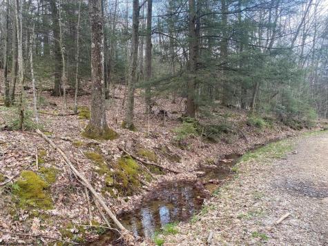 0 Prison Mine Road Mill Creek WV 26280