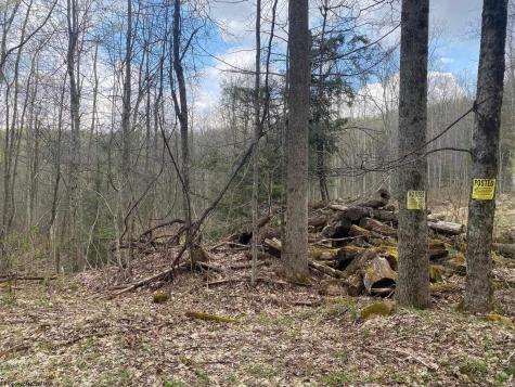 0 Prison Mine Road Mill Creek WV 26280