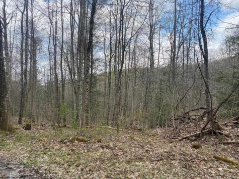 0 Prison Mine Road Mill Creek WV 26280