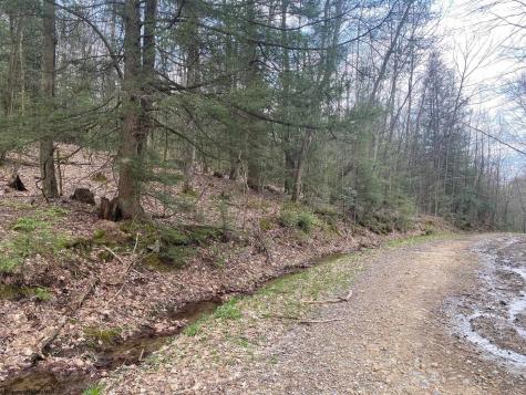 0 Prison Mine Road Mill Creek WV 26280
