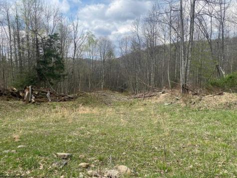 0 Prison Mine Road Mill Creek WV 26280