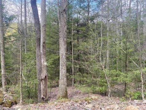0 Prison Mine Road Mill Creek WV 26280