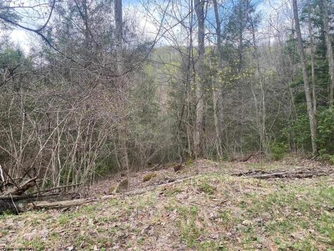 0 Prison Mine Road Mill Creek WV 26280
