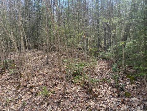 0 Prison Mine Road Mill Creek WV 26280