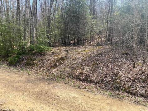 0 Prison Mine Road Mill Creek WV 26280