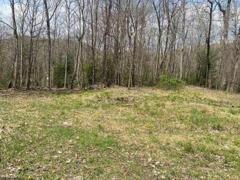 0 Prison Mine Road Mill Creek WV 26280