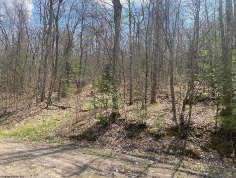 0 Prison Mine Road Mill Creek WV 26280