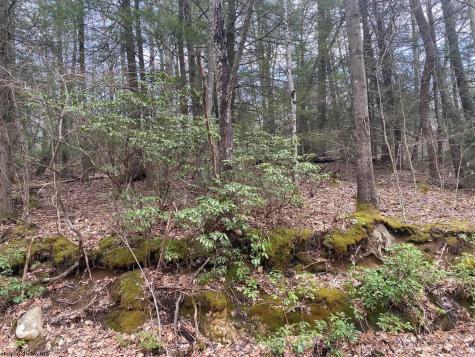 0 Prison Mine Road Mill Creek WV 26280