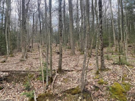 0 Prison Mine Road Mill Creek WV 26280