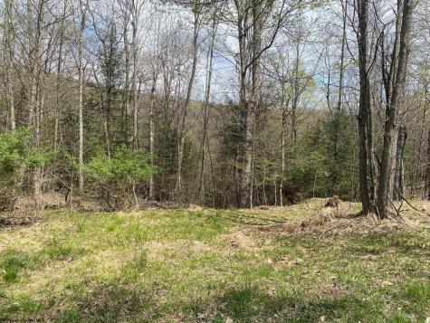 0 Prison Mine Road Mill Creek WV 26280