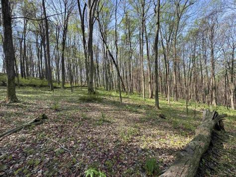 0 Palmer Drive Fairmont WV 26554