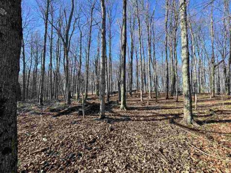 0 Palmer Drive Fairmont WV 26554