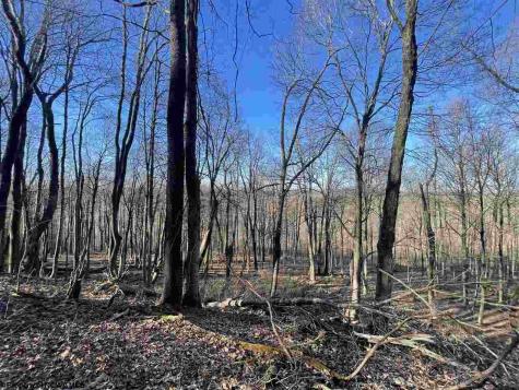 0 Palmer Drive Fairmont WV 26554
