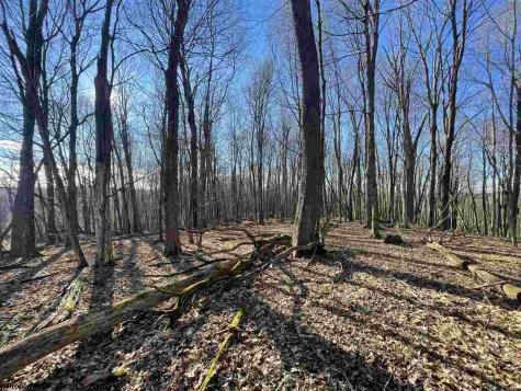 0 Palmer Drive Fairmont WV 26554