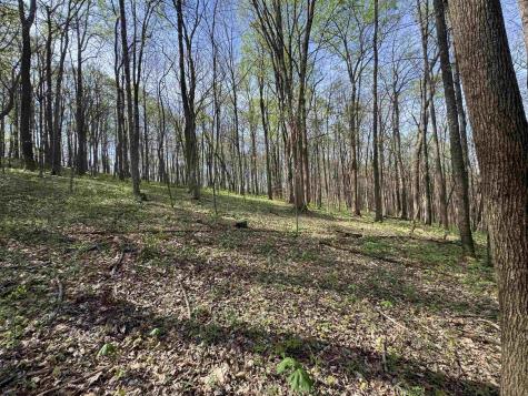 0 Palmer Drive Fairmont WV 26554