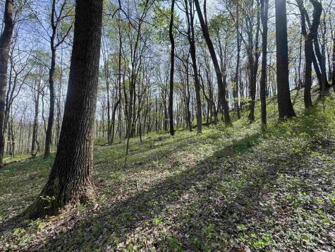 0 Palmer Drive Fairmont WV 26554