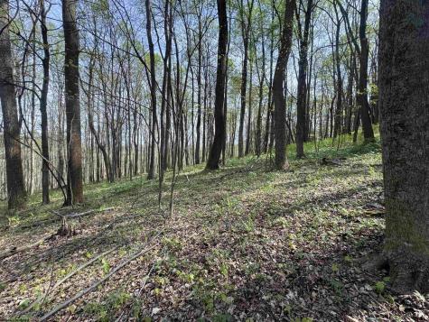 0 Palmer Drive Fairmont WV 26554