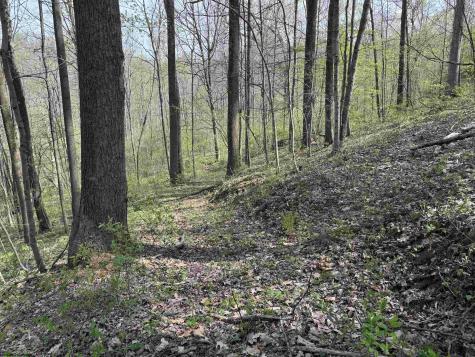 0 Palmer Drive Fairmont WV 26554
