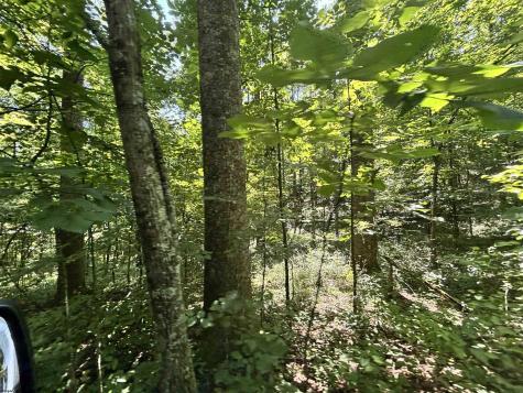 110 Danner Road Belington WV 26250