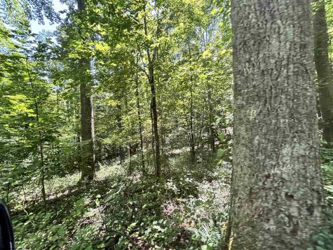 110 Danner Road Belington WV 26250