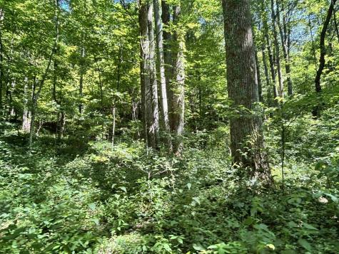 110 Danner Road Belington WV 26250