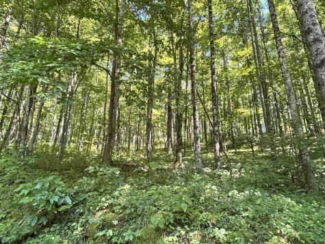 110 Danner Road Belington WV 26250