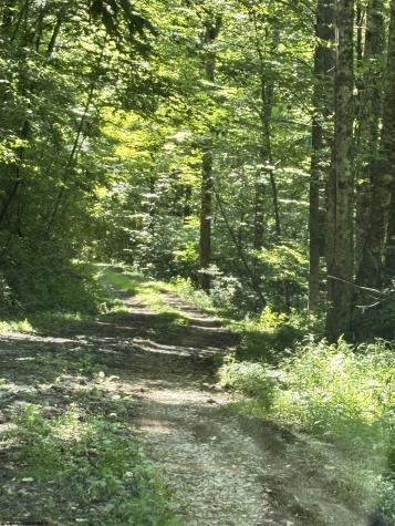 110 Danner Road Belington WV 26250