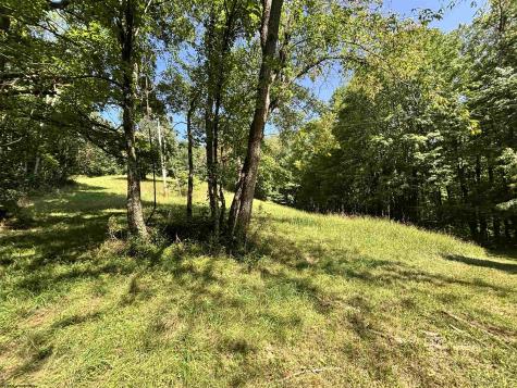 110 Danner Road Belington WV 26250