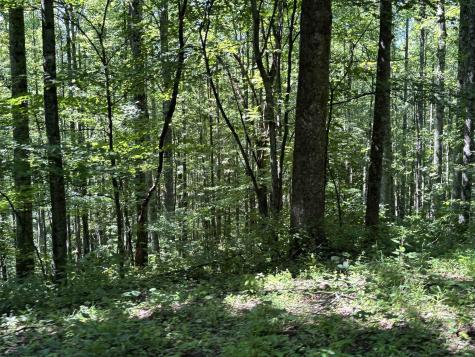 110 Danner Road Belington WV 26250