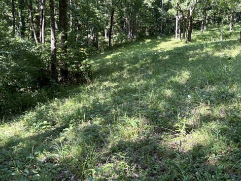110 Danner Road Belington WV 26250