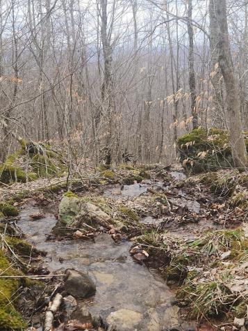0 Harper Trail Valley Bend WV 26293