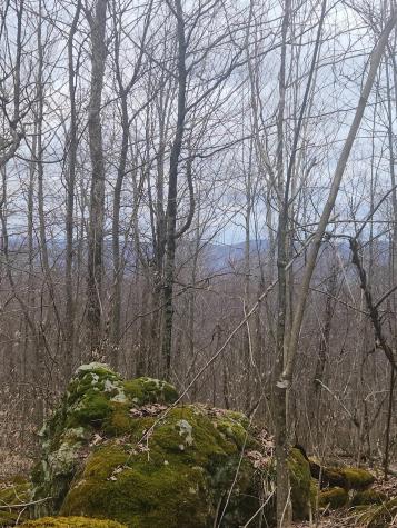 0 Harper Trail Valley Bend WV 26293