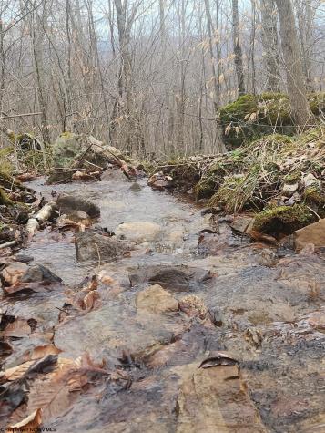 0 Harper Trail Valley Bend WV 26293