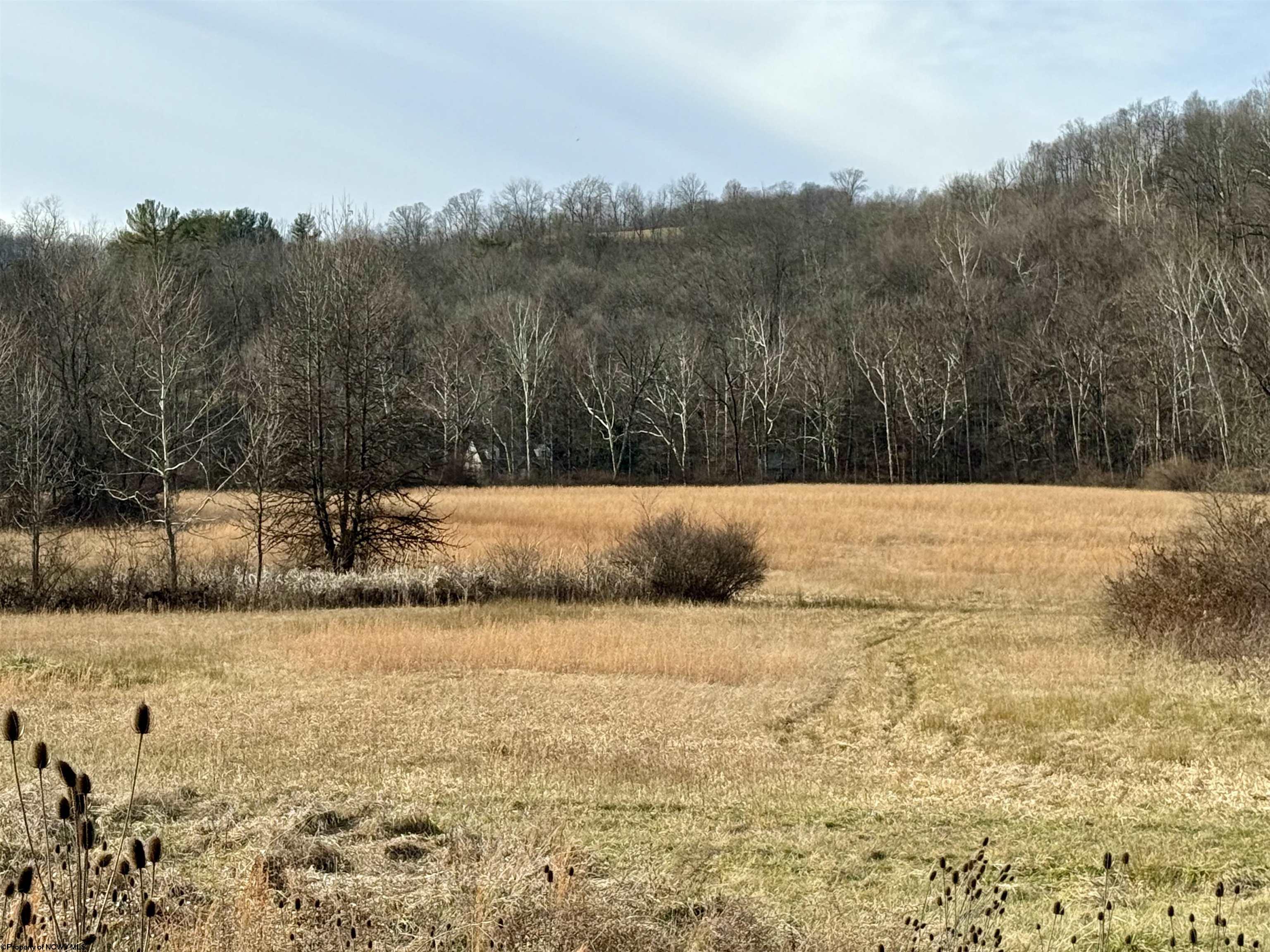 0 Middletown Road Fairmont WV 26554