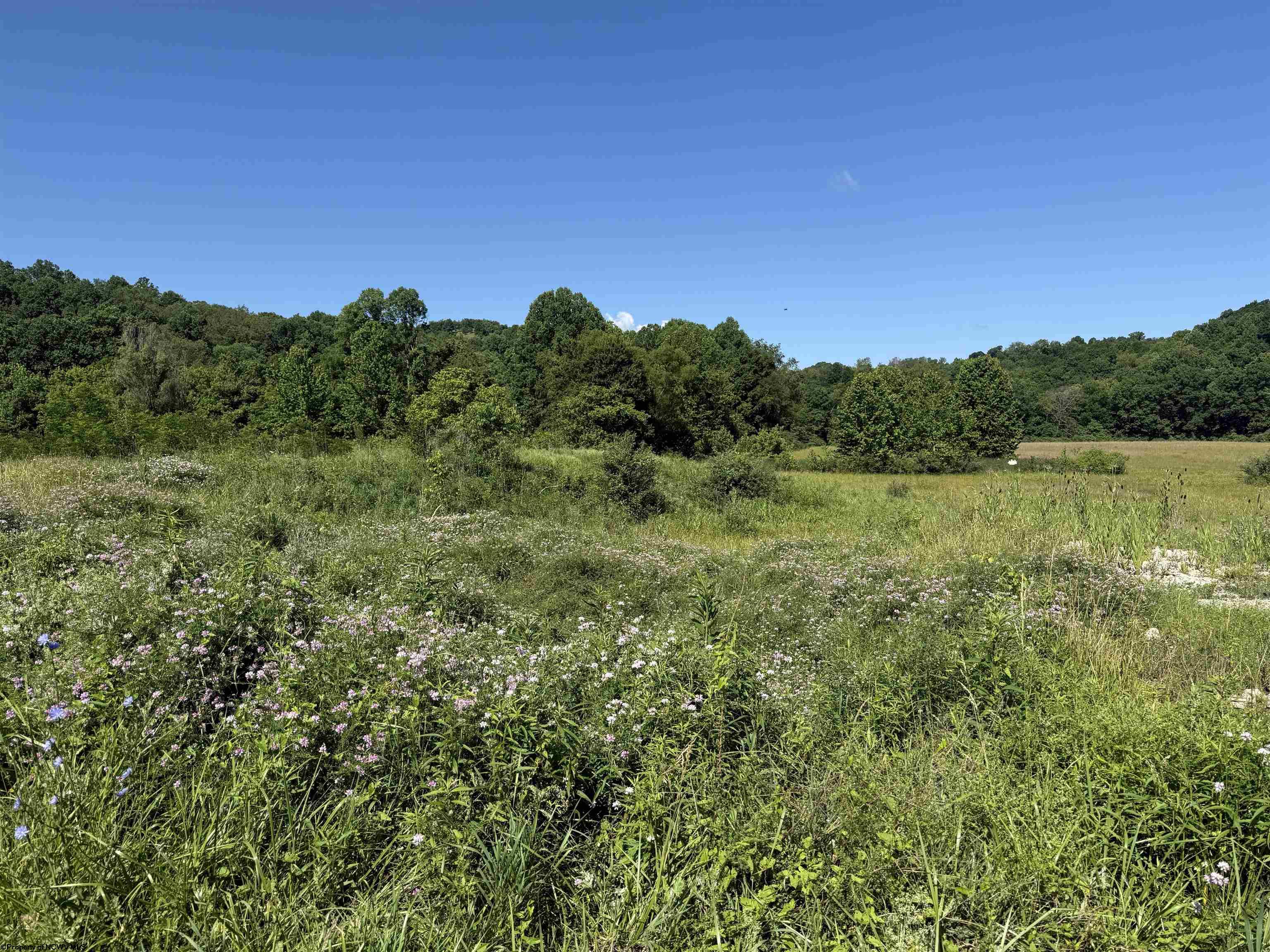 0 Middletown Road Fairmont WV 26554