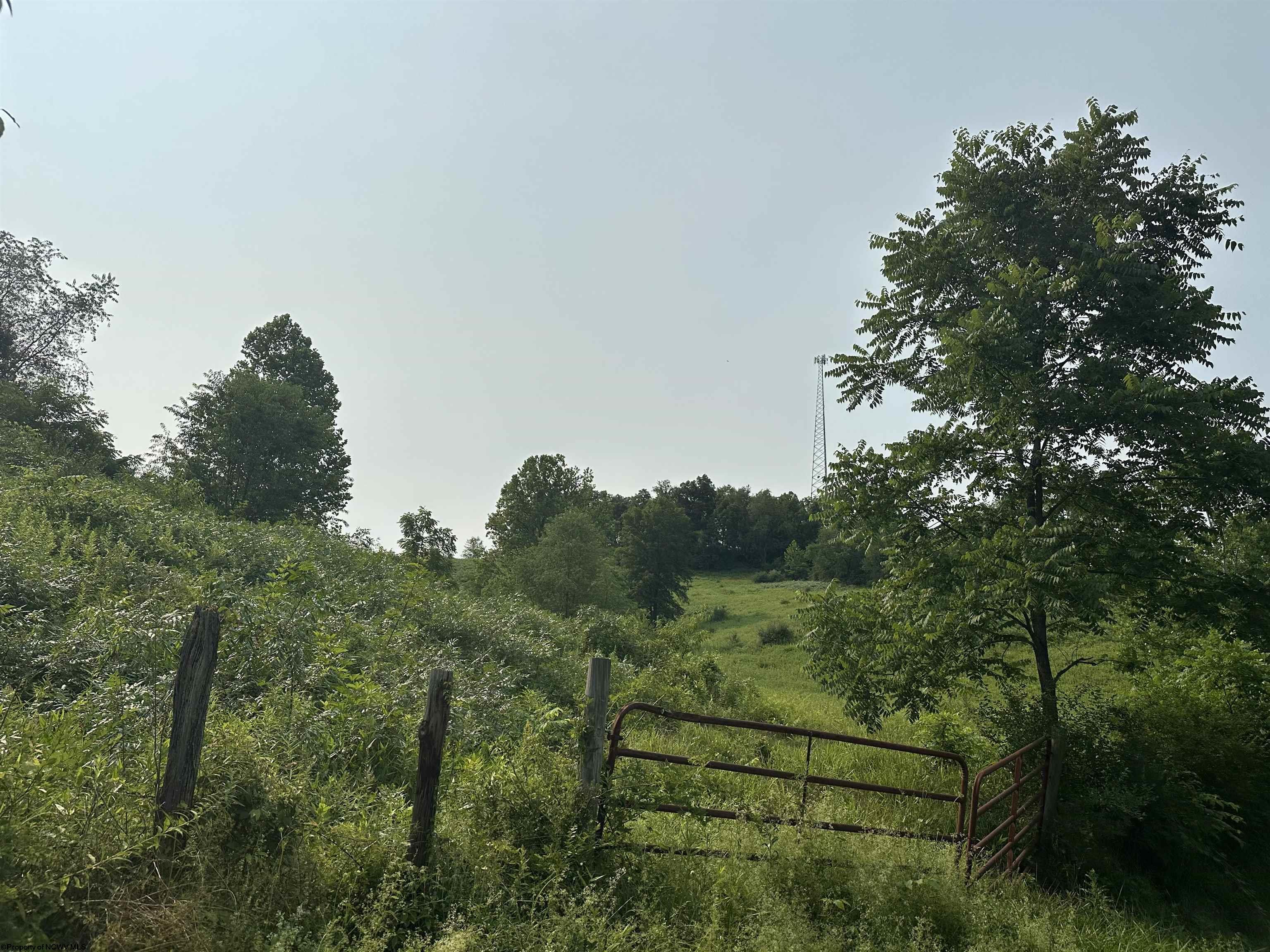 0 Slab Camp Road French Creek WV 26218