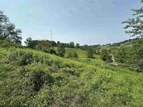 0 Slab Camp Road French Creek WV 26218