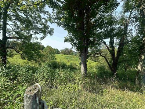0 Slab Camp Road French Creek WV 26218