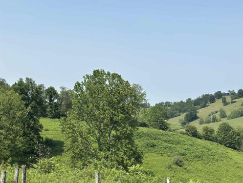 0 Slab Camp Road French Creek WV 26218