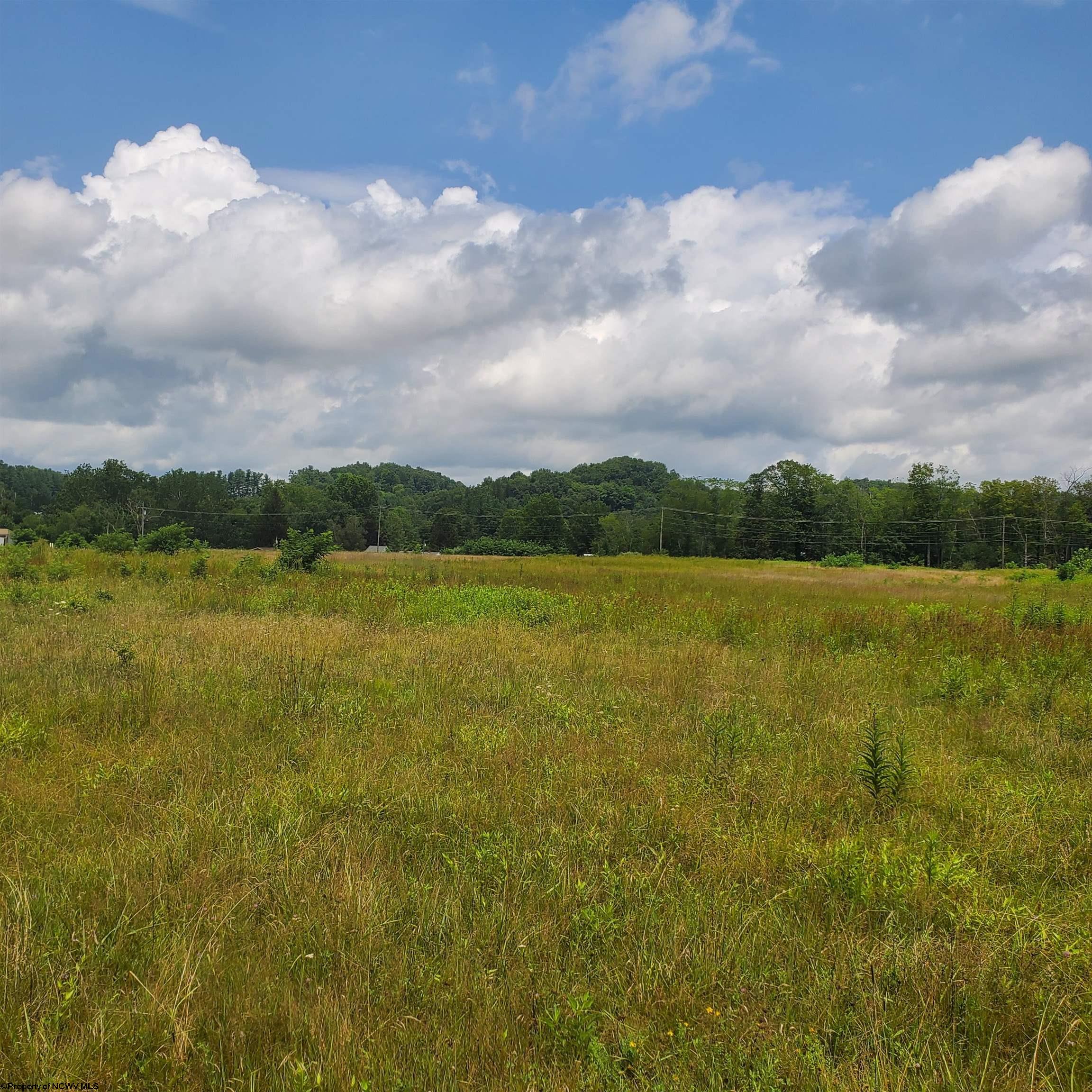 0 Plantation Drive Elkins WV 26241