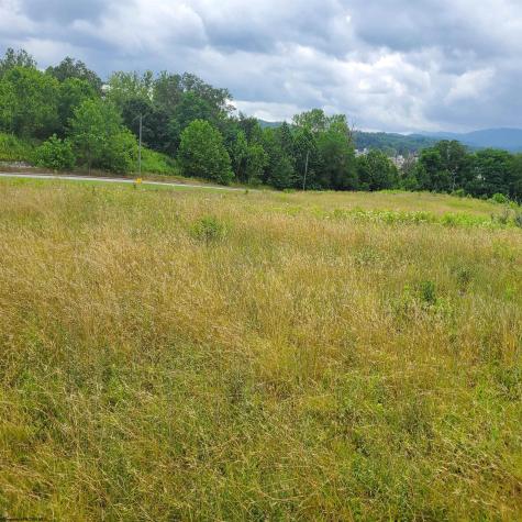 0 Plantation Drive Elkins WV 26241