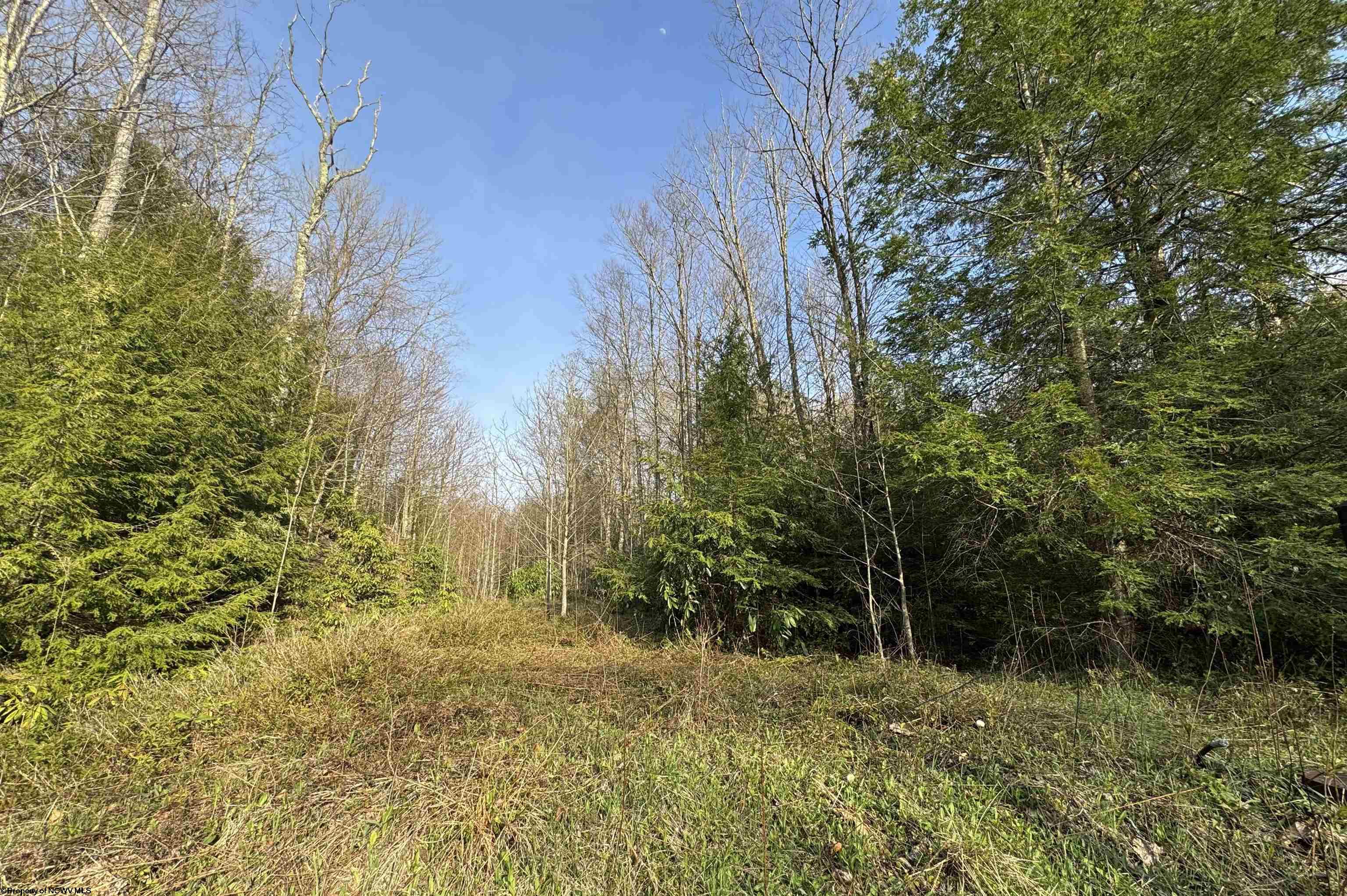 80 Gondola Court Davis WV 26260-0000