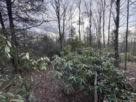 80 Gondola Court Davis WV 26260-0000