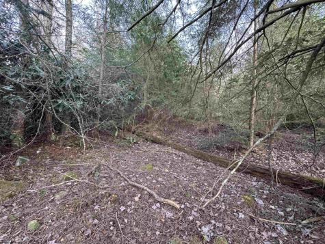 80 Gondola Court Davis WV 26260-0000