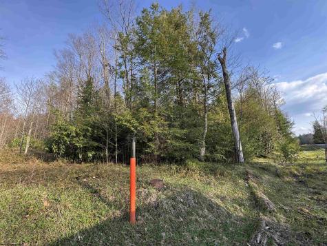 80 Gondola Court Davis WV 26260-0000