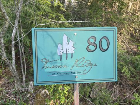 80 Gondola Court Davis WV 26260-0000