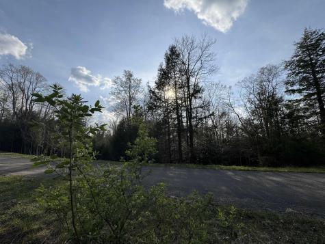 80 Gondola Court Davis WV 26260-0000